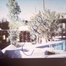 vintage Soleri Cosanti pool/canopy/catcast 1965/1966 photo slide Ivan Pintar