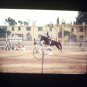 vintage photo slide of a horse jumping 1968