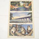 vintage postcard the Overseas Highway to Key West