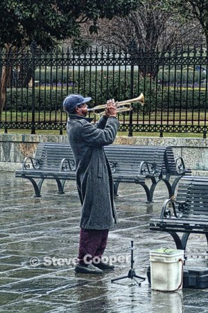 Serenading Katrina - 16 x 24