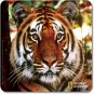 National Geographic Tiger Mouse Pad