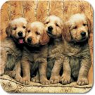 CUDDLY PUPPIES