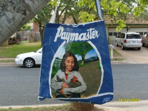 Shopping  Tote