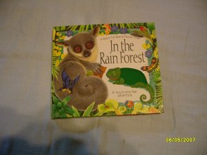 In the rainforest
