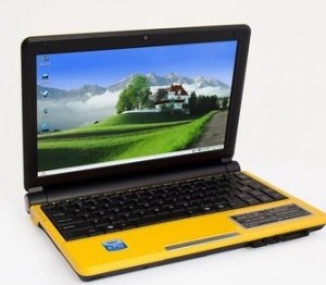 Eee PC with 10.2"TFT/1.6G CPU/1GB RAM/160GB SATA HDD/Wifi/