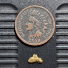Natural Placer Gold Nugget - .22 grams #202