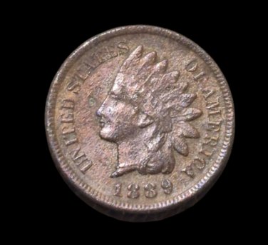 1889 Indian Head Cent - F12 details #204