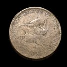 1858 Flying Eagle Cent - G details #237