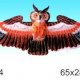 Kite