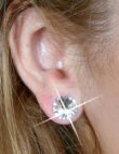 Stud Earrings