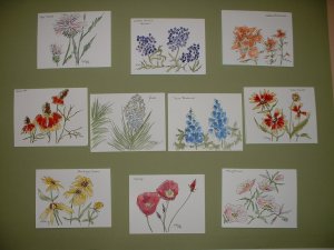 WILDFLOWER NOTECARDS  by Maren Phillips