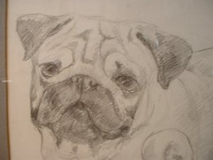 PENCIL PORTRAITS ........ by Maren Phillips
