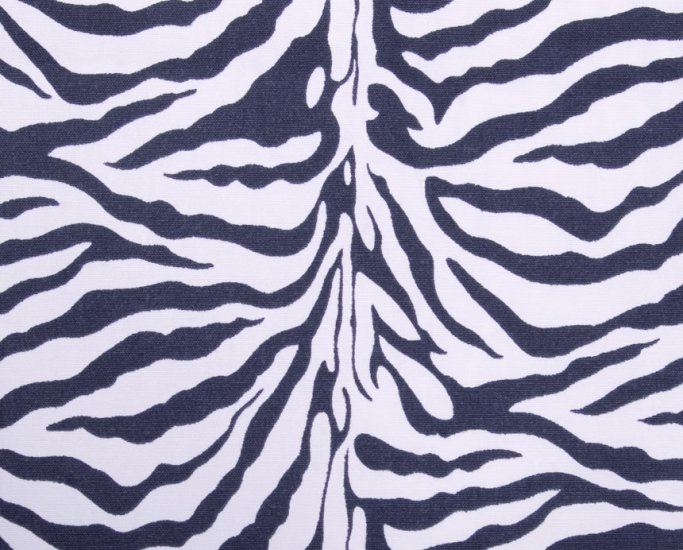 zebra//oxford