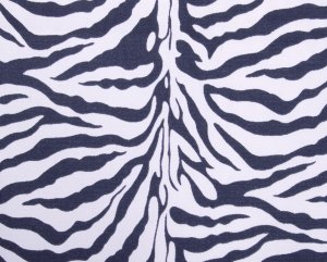 zebra//oxford