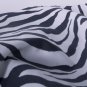 zebra//oxford