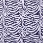zebra//oxford