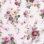 viola big flower//oxford//Pink