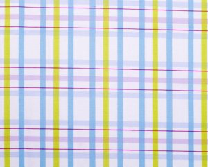 Pottery blue check//cotton//2 yards