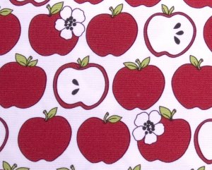 kawaii apple//red//oxford