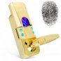 Fingerprint + Access Code Door Lock (Gold Edition)