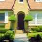 Solar Power Pest Killer - Landscape Light