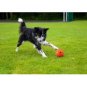 Autofetch Motion Pet Ball! Mobile Powerball for Dogs and Cats