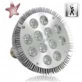 12W LED Spotlight Bulb