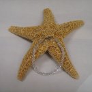 Glamour & Glitz