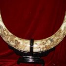 Nice Old Bone Art Handicraft Lucky Dragon Tooth adornment