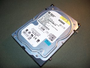 Western Digital Protege 80GB 5400RPM EIDE ATA-100 2MB Cache Hard Drive WD800EB-00DJF0