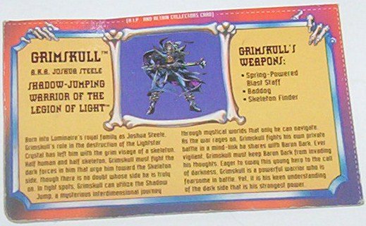 Skelton Warriors Grimskull file card