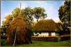 Old house*37*