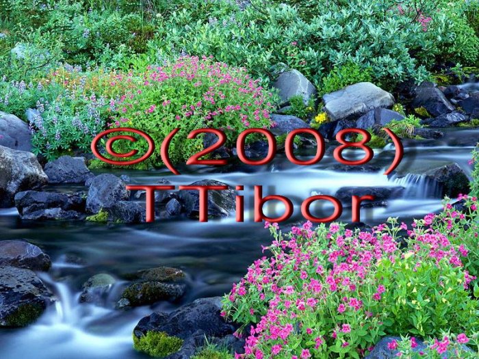 Brook*60*