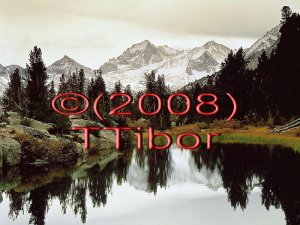 Carpathians*51*