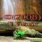 Water-fall*26*