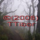 Forest*18*