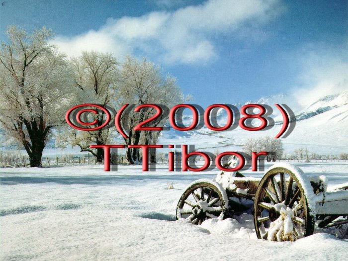 Winter*04*
