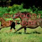 Horses*04*