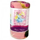 Wholesale Disney Princess Jewels and Flowers Fleece Blankets