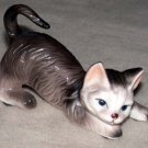 Playful Gray Cat