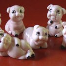 Set of Six Happy Pigs Bone China Pink in Color