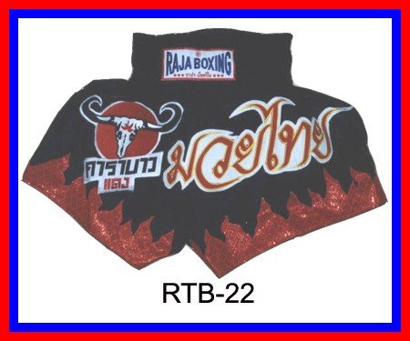 RAJA Muaythai boxing shorts RTB-22