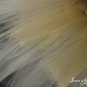 Layered two tone adult dance tutu Gold and ivory Large