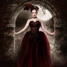 Medium floor length tutu skirt streamer formal red black adult