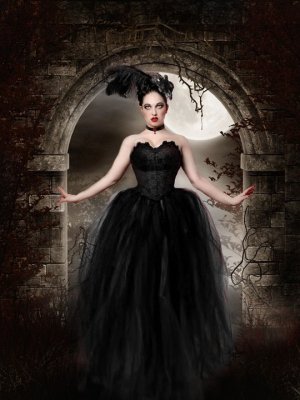 large Streamer floor length tutu skirt formal black adult bridal wedding prom