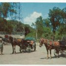 QUAINT HORSE-DRAWN CARRIAGES MONTREAL QUEBEC (C-118)