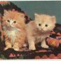 1950s CUTE KITTEN SISTERS Greetings Maine - P/C (C-201)
