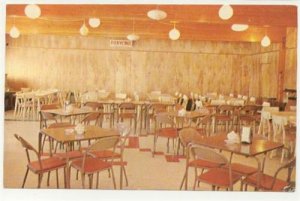 COMPT LAITIER LA P'TITE VACHE GRONDINES  1960s - C-272