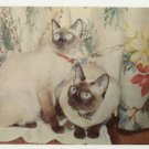 WE ARE SIAMESE IF YOU PLEASE- CATS MINT POSTCARD- C-308