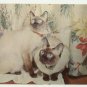 WE ARE SIAMESE IF YOU PLEASE- CATS MINT POSTCARD- C-308